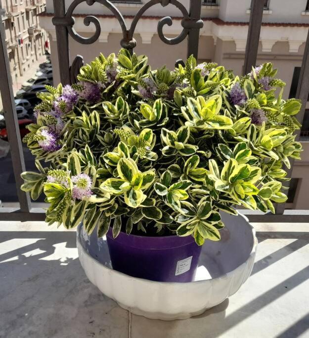 Casa Jole, Appartamento In Centro Bari Bagian luar foto